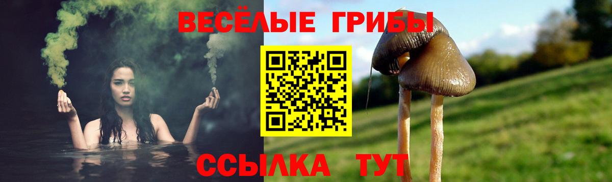 Реж  Галлюциногенные грибы Magic Shrooms  Галлюциногенные грибы GOLDEN TEACHER  Вход с VPN 